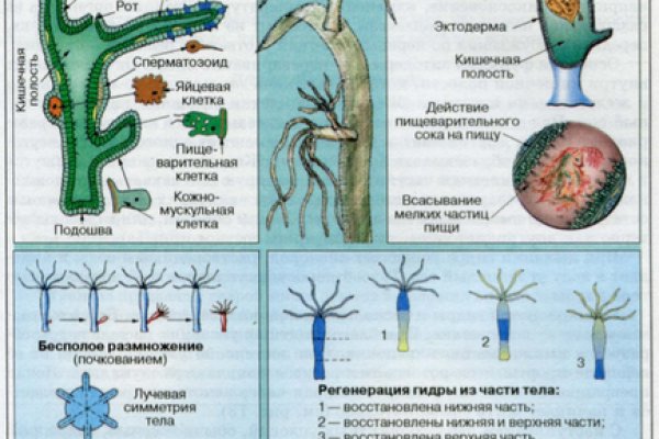 Вход на кракен зеркало