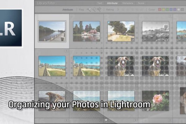 Кракен зеркало тор