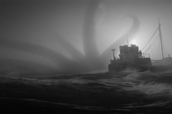 Kraken online