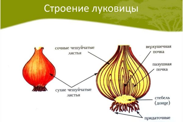 Что за площадка кракен