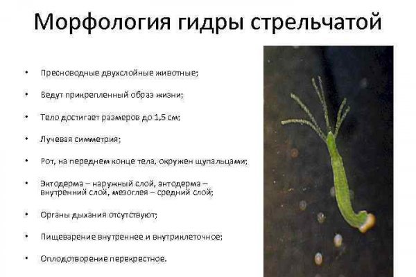 Кракен зайти зеркало