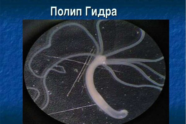 Кракен маркет kr2web in