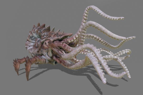 Kraken адрес