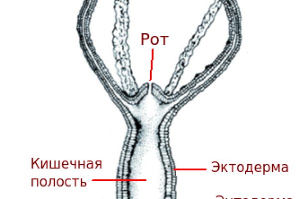 Kraken ссылка зеркало официальный