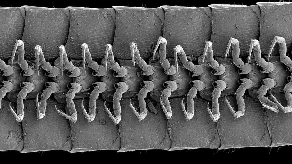 Что такое кракен маркет торкнет