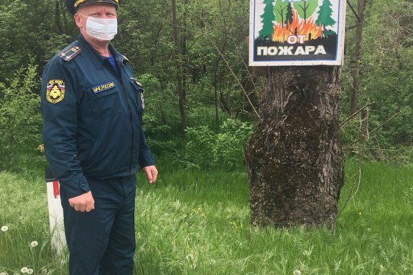 Ссылка кракен зеркало тор