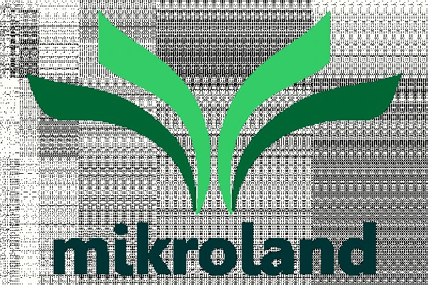 Через какой браузер можно зайти на кракен