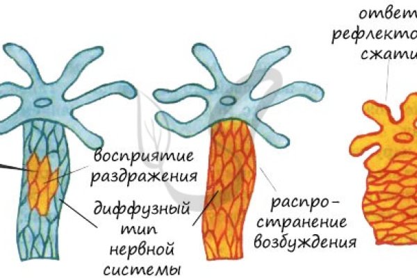 Кракен даркнет krawebes